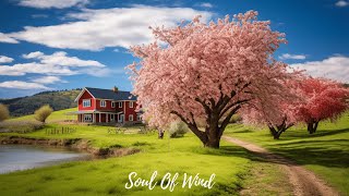 Healing Harmonies: Gentle Music to Soothe Your Soul and Relax Your Mind.
