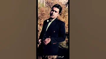 امیرمحمد سعیدی ابوالفضل جباری جوادبهاری زینب چادر طلایی 