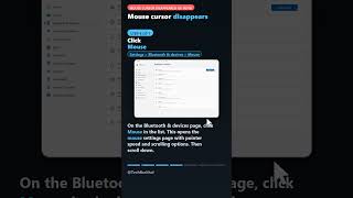 Fix Invisible Mouse Cursor Windows 11 - Hide Pointer While Typing