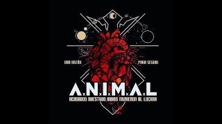A.N.I.M.A.L - Una Razón Para Seguir (2018) (Full Album)