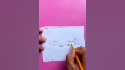 gangetic ailia fish | original video tutorials #satisfying #creativeart #drawingforbeginners