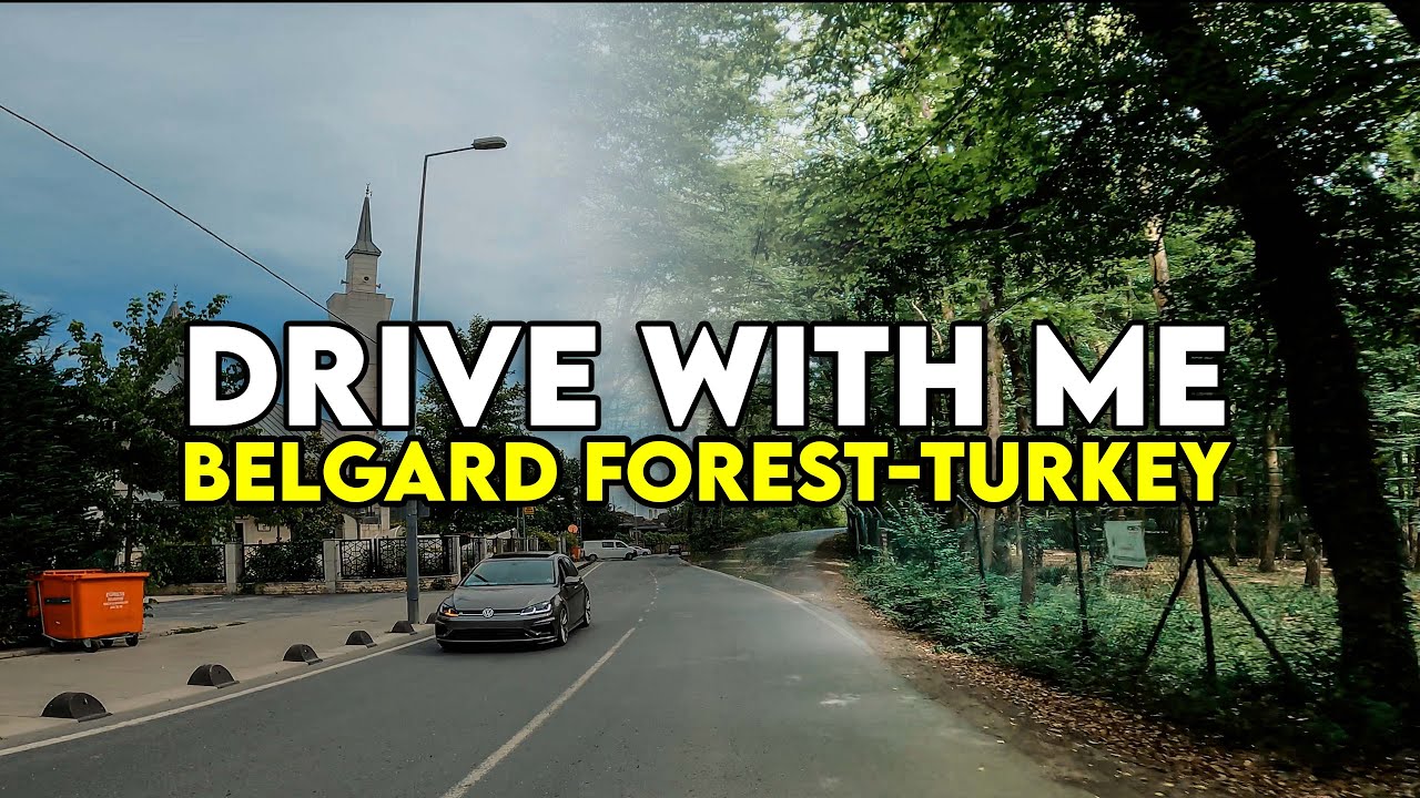 Morning drive in the Belgrad Forest || Forest Driving Tour [4k HD]- Nature Sounds || Brain Massage