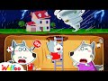 We Survived A TORNADO 🌪️ Wolfoo Learns Safety Tips in Natural Disaster 🌎 Wolfoo World