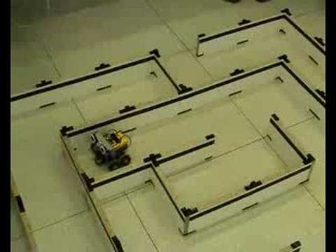 RobertaLAB | Maze Experiment |