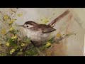 How to Paint Birds with Acrylics- Beswicks Wren