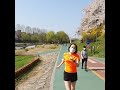 Sunday Runday~😊 Cherry Blossom Run in Seoul #Shorts