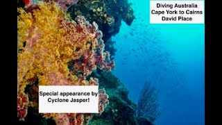 Diving Australia : Cape York to Cairns