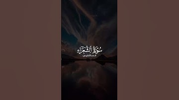 (ولا تخزني يوم يبعثون) سورة الشعراء، احمد النفيس#اكسبلور #احمد_النفيس