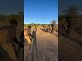 Hadzabe Tribe bushmen celebrate in style of Cristiano Ronaldo Siuuu