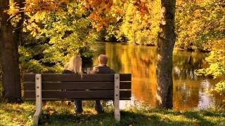 Relaxing Soft Piano with Tropical Bird  Music screenshot 5