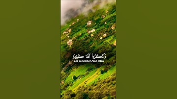 تلاوة خاشعة قرأن كريم راحة نفسية #elmulquranعلم #تلاوة #اكسبلور #trend #قران_كريم #المصحف #aslam