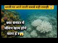 Coral Bleaching: धरती के समंदर में छुपी सबसे बड़ी तबाही | Coral Reefs | Global Warming