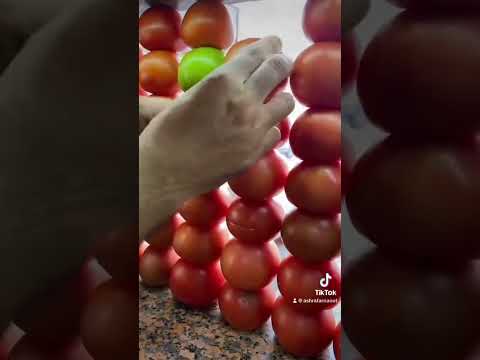 عالبلدي يا بلادي