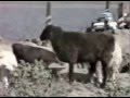 ParisPekin1992