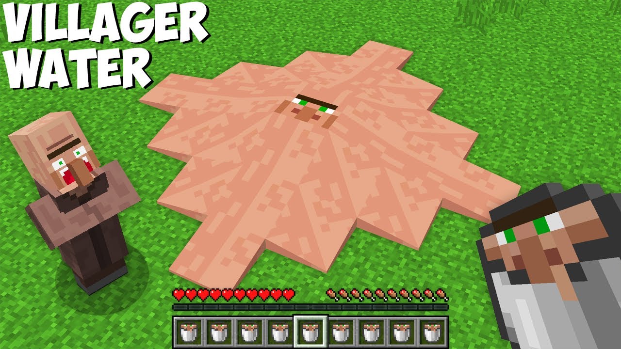 Pillager \u0026 Villager Life: Full Animation I - Minecraft Animation