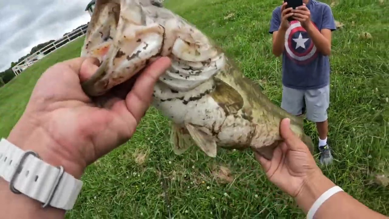 When To Use Top Water Lure To Catch Big Bass?