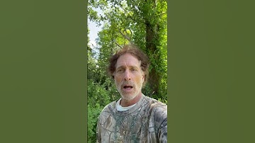 Thumbnail of “I’ll do anything” by Gordon Lightfoot & beautiful original ballads ￼by Tyler Miroe balladeer singer