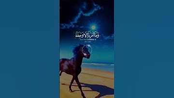 📖سورة القمر 🎙️محمد صديق المنشاوي