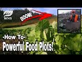 How To Plant Powerful Brassica Food Plots