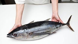 فوائد سمك التونه للقدره الجنسية عند الرجال ممنوع الدخول؟  للرجال فقط +18