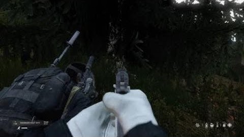 DayZ execution