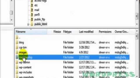 How to force FileZilla to show hidden files