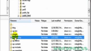How to force FileZilla to show hidden files