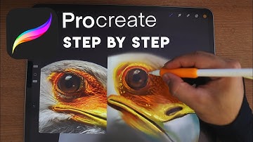 Realistc Drawing Step by Step IpadPro Procreate