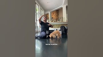 When to add a verbal cue