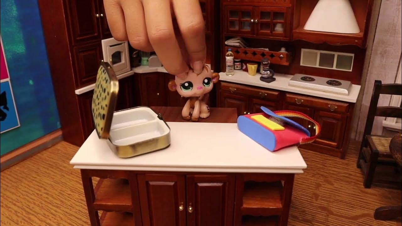 lps-lunch-box-youtube