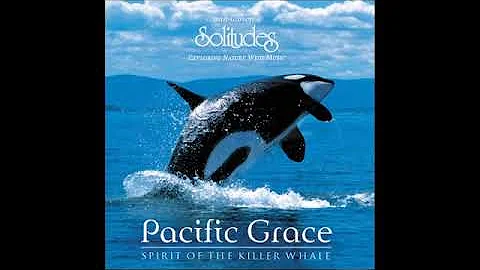 Dan Gibson 's Solitudes-Exploring nature with music~Pacific Grace~Spirit of Killer Whale - Deep Blue