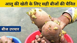 आलू की खेती के लिए सही बीजों की चयनित और बीज उपचार | Aalu ka bij kaise taiyar karen | Potato Seeds