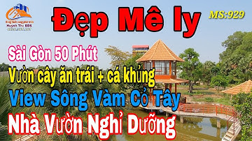 Nhà vườn Long An | Nhà vườn Nghỉ Dưỡng đẹp | Nhà vườn cây ăn trái ao cá view sông vàm cỏ tây