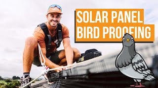How to STOP Birds Nesting Under Your Solar Panels | Solar Panel Bird Proofing