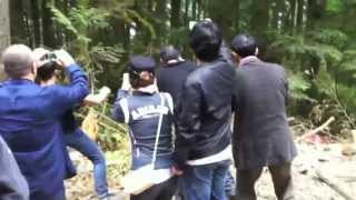 Sasquatch caught on video by Chinese tourists