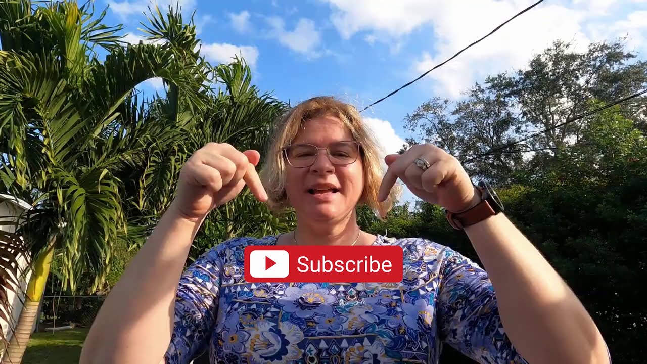 How to Apply for Homestead Exemption YouTube