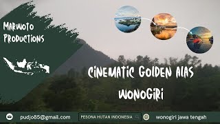 CINEMATIC GOLDEN HUTAN | PEMANDANGAN INDAH HUTAN WONOGIRI