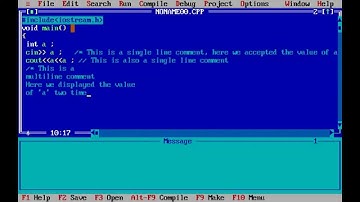 Comments - C++ programming tutorial
