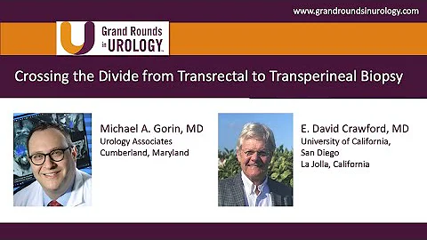 Crossing the Divide from Transrectal to Transperineal Biopsy - DayDayNews