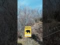 与作(by 音の和)  北島三郎様の「与作」をノリノリラテンで♪