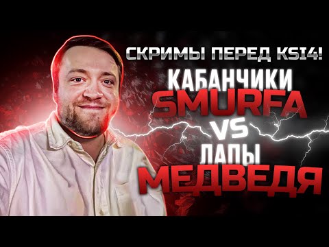 Видео: СКРИМЫ ПЕРЕД KSI4! Кабанчики Смурфа vs Лапы Медведя #smurf_tv #flashinthenight