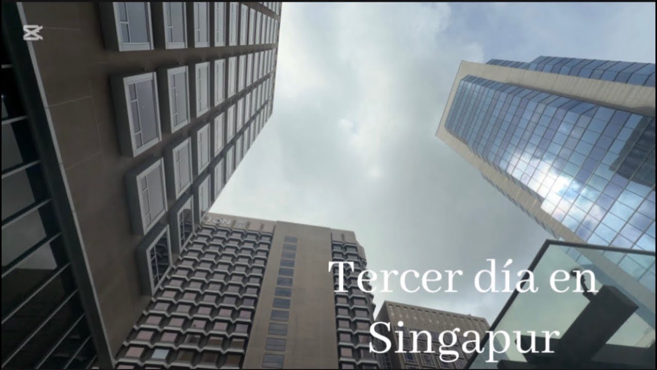 Al fin compramos un nuevo coche 🫠😍