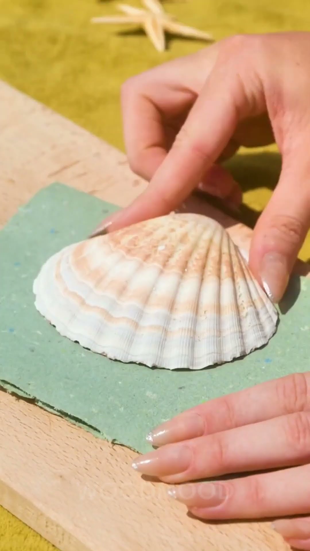 Go back to school with a notebook made from seashells and seaweed paper! ??