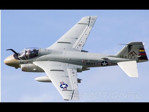 Flight of the
