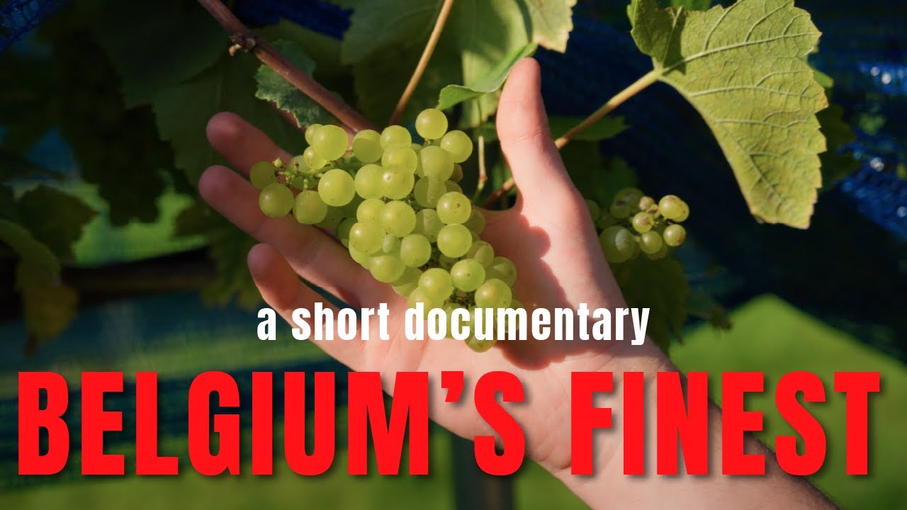 Belgium’s Finest: Harvesting Heritage at a Family Vineyard (Sony FX3)