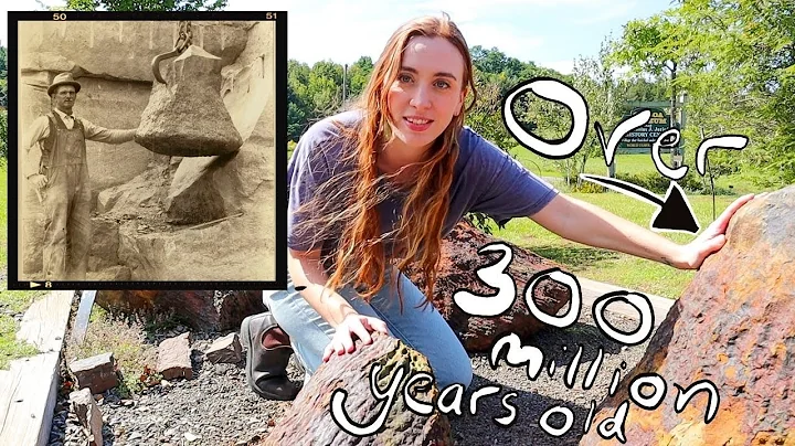 Earth's Earliest Trees in Upstate New York