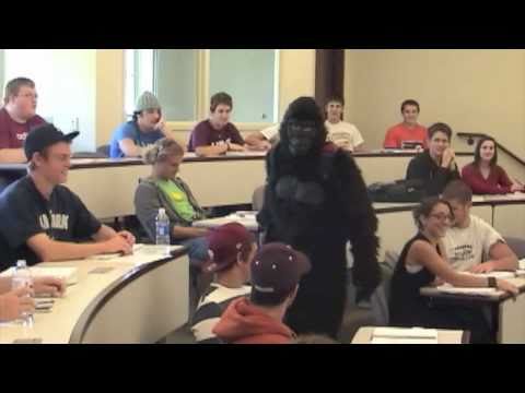 Susquehanna University GO Gorilla Program