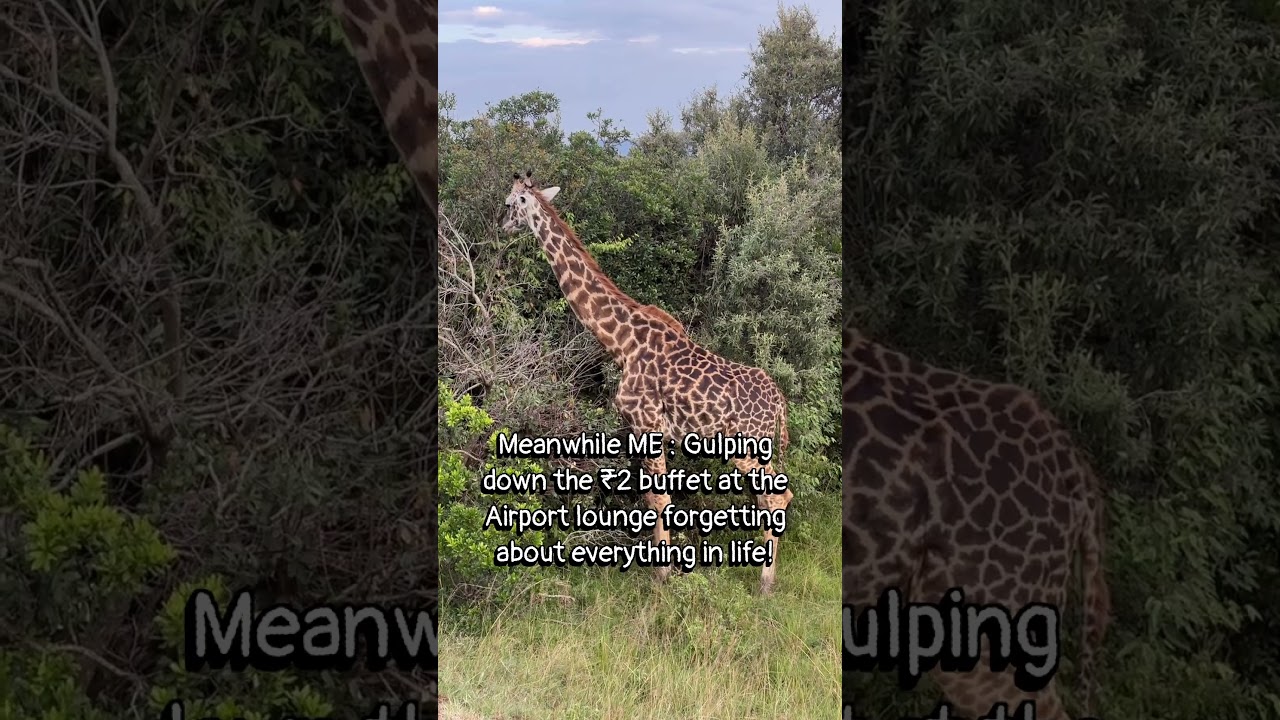 How I Eat Like a King in Airport Lounges