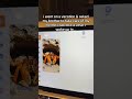 the dude had ONE JOB😭😭#unhinged #aichatbot #brainrot #aivideo #crab
