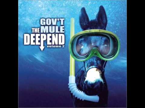gov't-mule---lay-of-the-sunflower.wmv